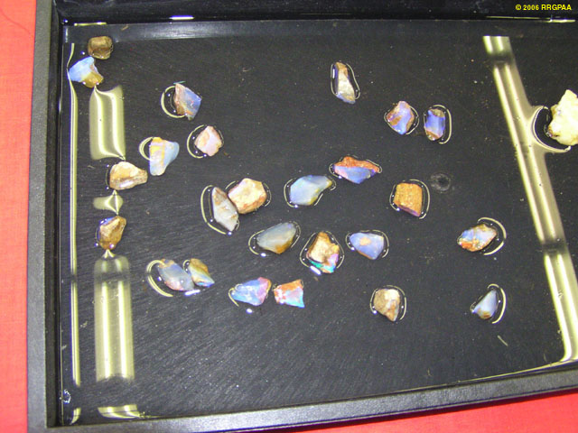2006 GPAA Gold Show Photo 1