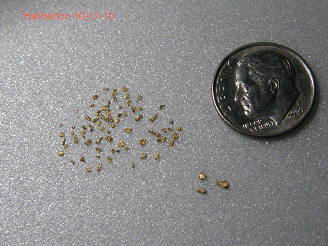 These flakes and pieces were found by Lonnie Killman while prospecting at Malcom Long's and the fall outing at Halliburton's