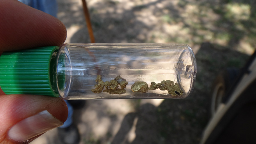 These little nuggets were recovered by Mike Bruno at the Riley Mountain Outing