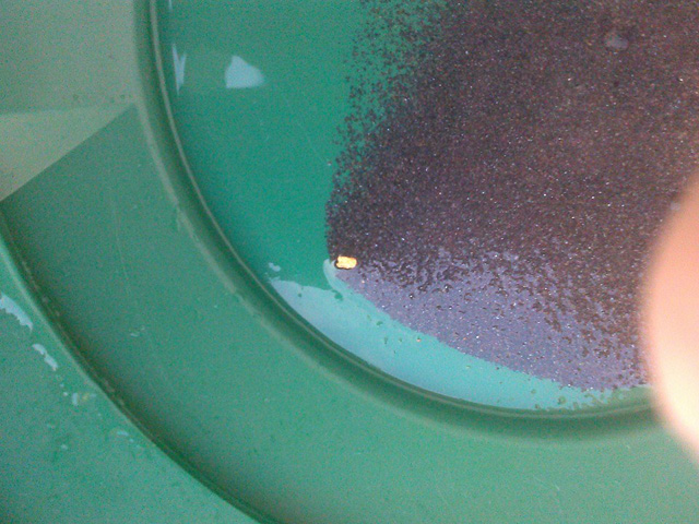 This large flake was found by Teresa Rieke at the April 2014 Halliburton Outing