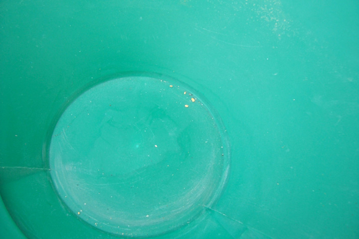 Gold found by Ken Larsen at the April 2014 Halliburton Outing
