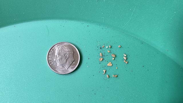 All the gold found after cleanup next to a dime for scale