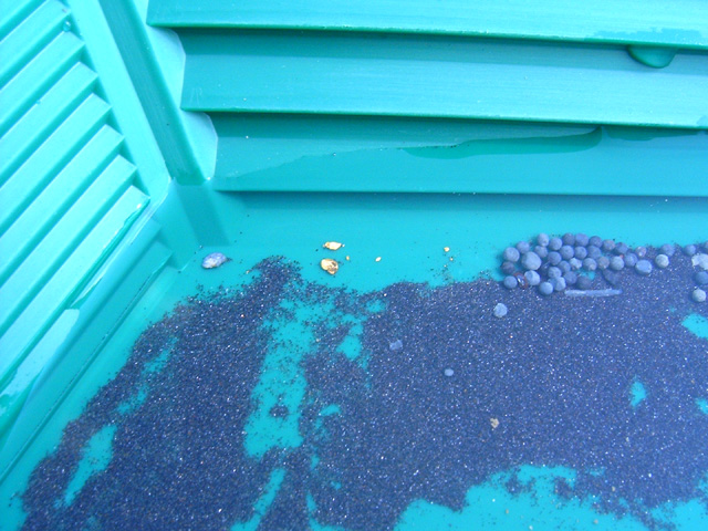 Lonnie Brewer found these little nuggets while prospecting recently. They were found in the Llano River using a sucker tube and sluice. Congratulations Lonnie, your hard work has paid off!