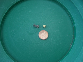 Picker by Todd Pickens